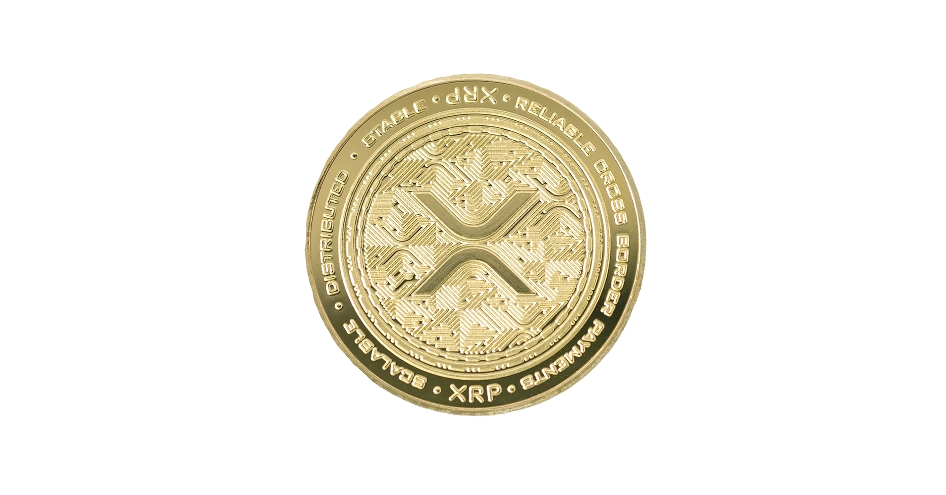 XRP 使い捨てカメラ 箱付き　Ripple XRP 使い捨てカメラ 箱付き Ripple Amazon.co.jp: リップル XRP